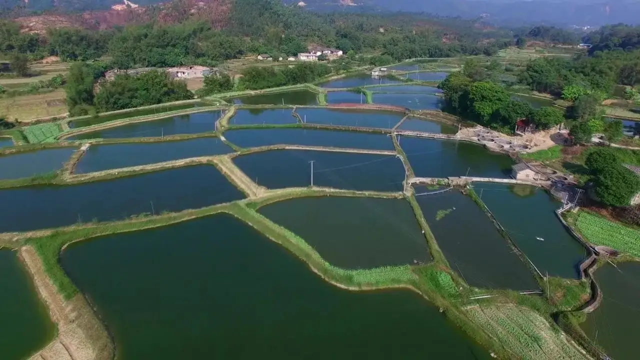 �B(y��ng)ֳ����