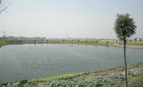 �B(y��ng)ֳ����