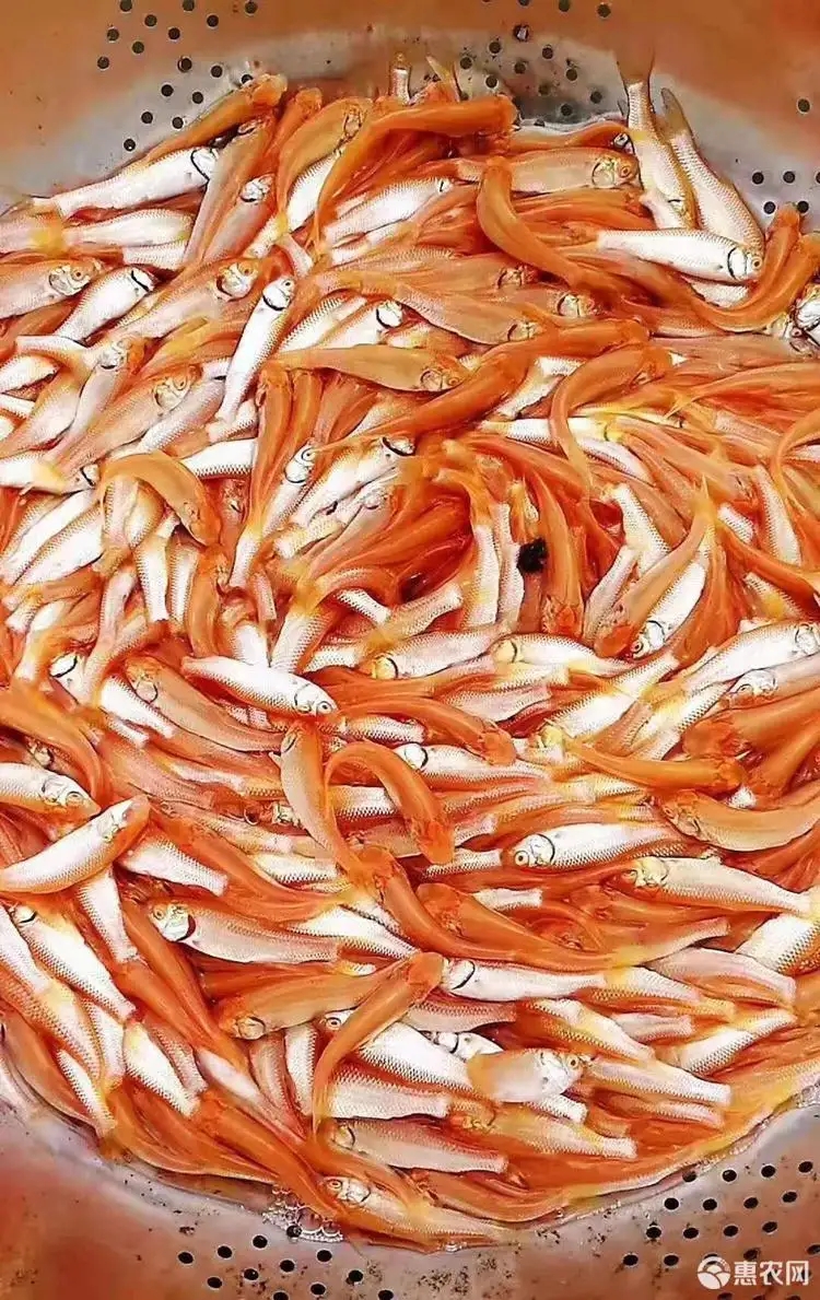 �t���~�~��