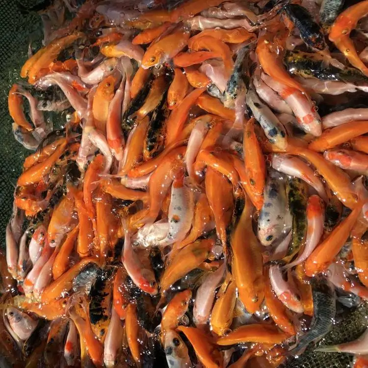 �\���~��