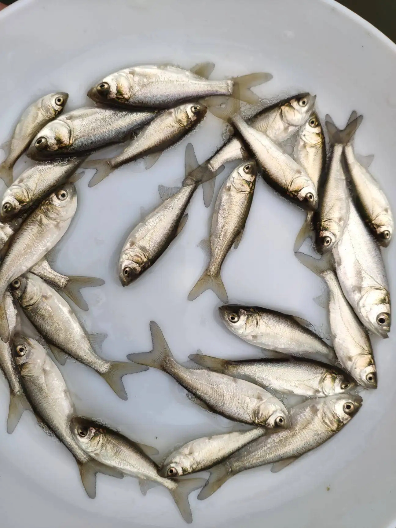 �����~�~��