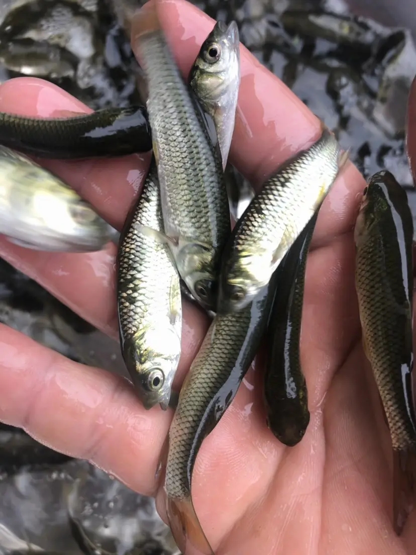 src=http___image.cnhnb.com_image_png_head_2020_05_16_3c468f3afb7145f8a9dfb89ab9f2e2b9.png&refer=http___image.cnhnb.webp.jpg src=http___image.cnhnb.com_image_png_head_2020_05_16_3c468f3afb7145f8a9dfb89ab9f2e2b9.png&refer=http___image.cnhnb.webp.jpg