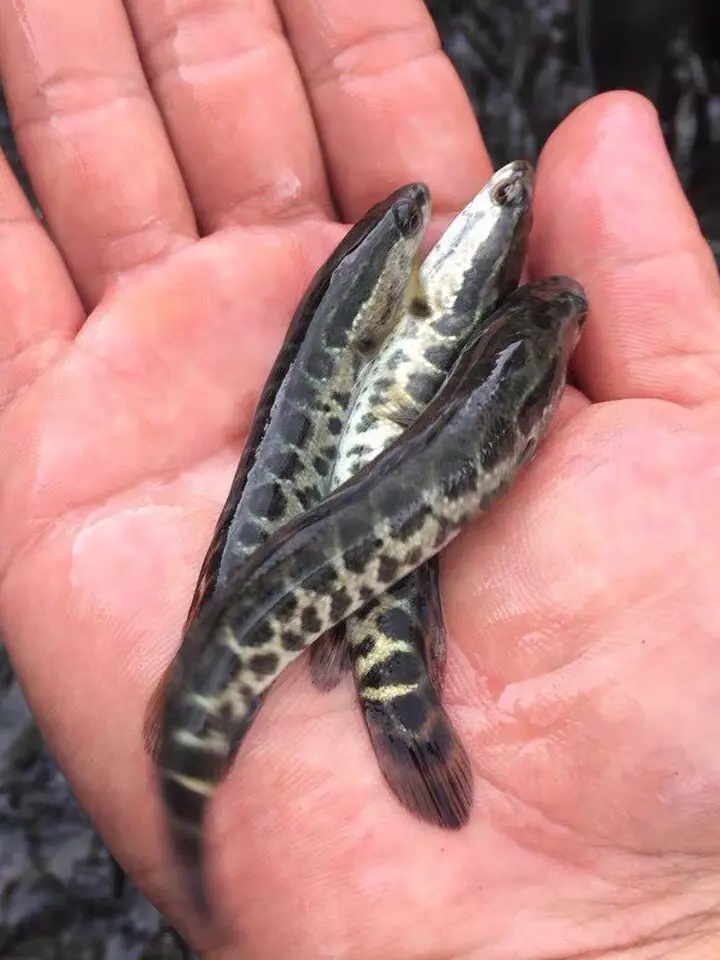 src=http___image.cnhnb.com_image_png_head_2019_10_29_c49a3caee94b45458b8d23fddb70bd05.png&refer=http___image.cnhnb.webp.jpg src=http___image.cnhnb.com_image_png_head_2019_10_29_c49a3caee94b45458b8d23fddb70bd05.png&refer=http___image.cnhnb.webp.jpg